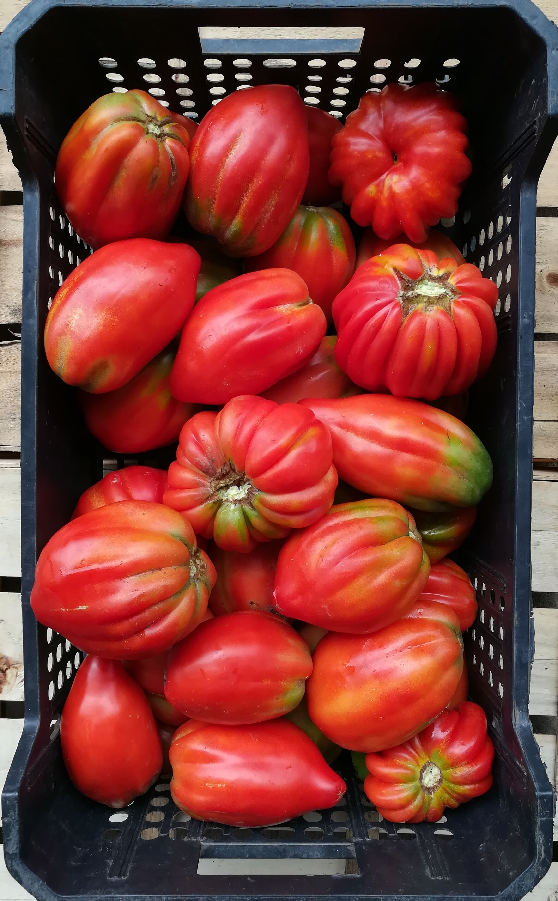 Cascina Fraschina Bio — foto 8