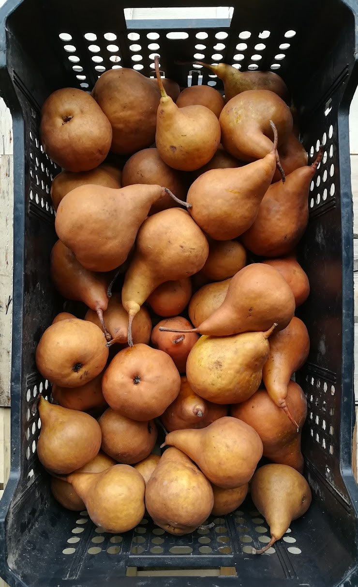 Cascina Fraschina Bio — foto 3