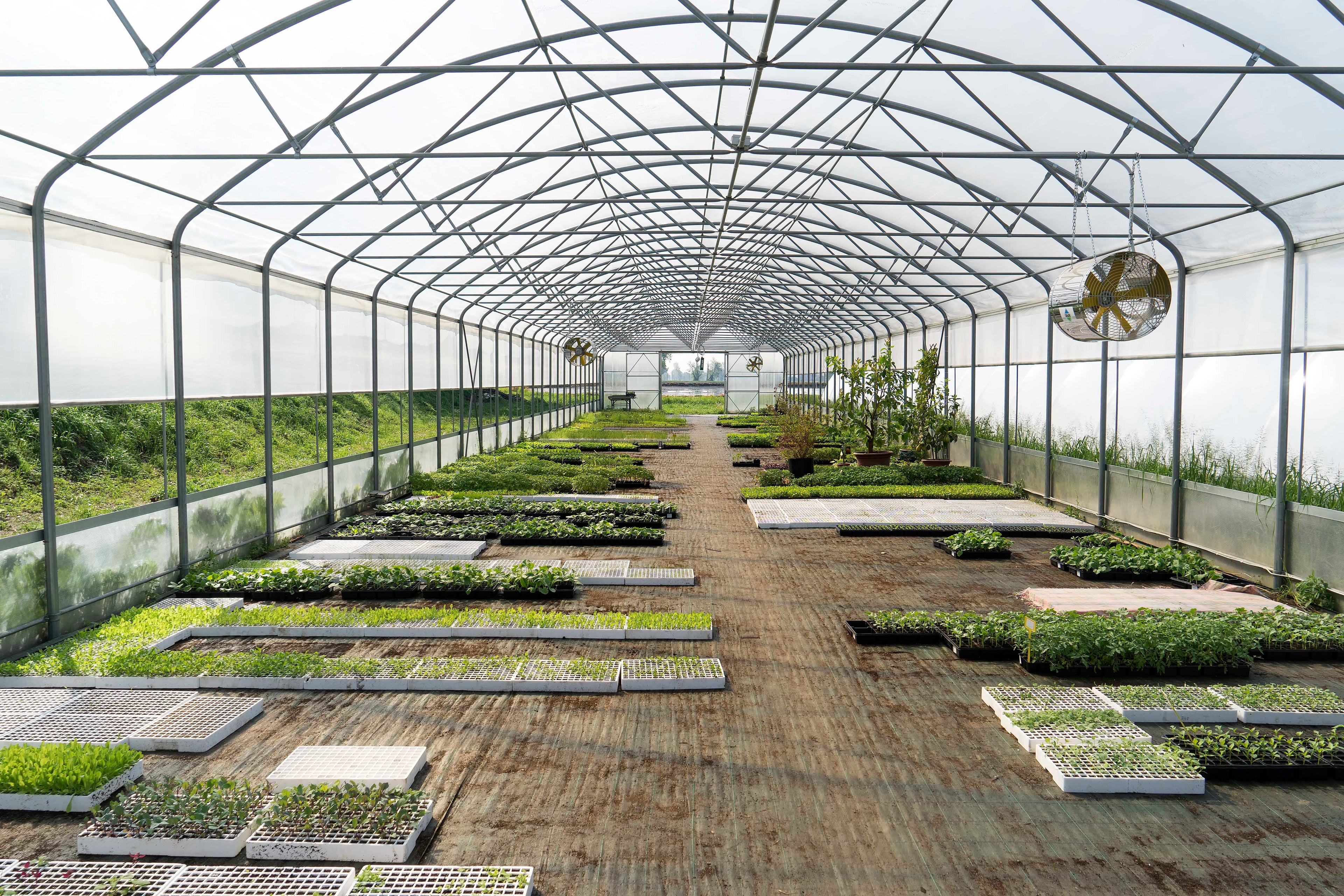 Progetto Orto Biologico Comunitario