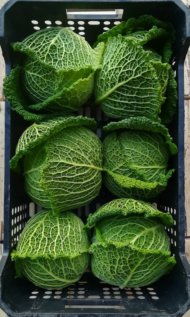 Prodotti del mese