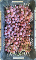 Uva Rossa